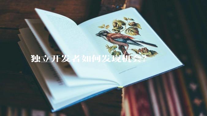 独立开发者如何发现机会？