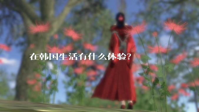 在韩国生活有什么体验？